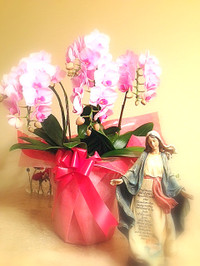 Photo_6